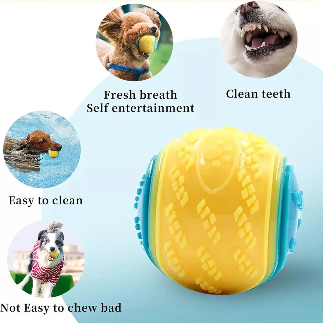 NEW Scooby-Doo Durable Squeaky set of 8 Dog Balls for teeth Cleaning Interactive UK