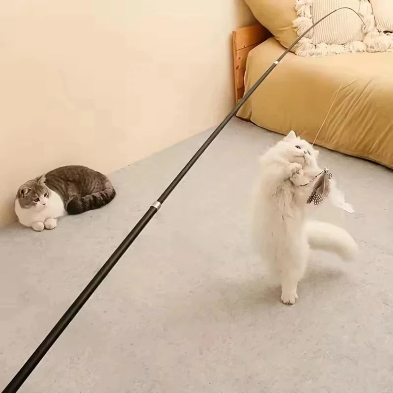 Extendable Long Pole Cat Toy Artificial Feather Interactive Teaser Wand Pet Cat Supplies
